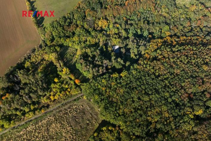 Prodej lesa, Praha - Malá Chuchle, 17570 m2