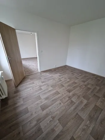 Pronájem bytu 4+1, Ústí nad Labem, Dr. Horákové, 84 m2