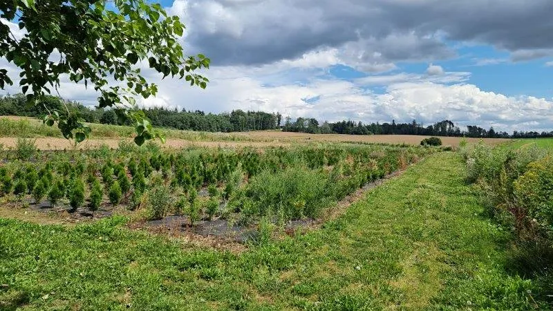 Prodej komerčního pozemku, Štoky, 23400 m2