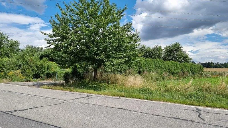 Prodej komerčního pozemku, Štoky, 23400 m2