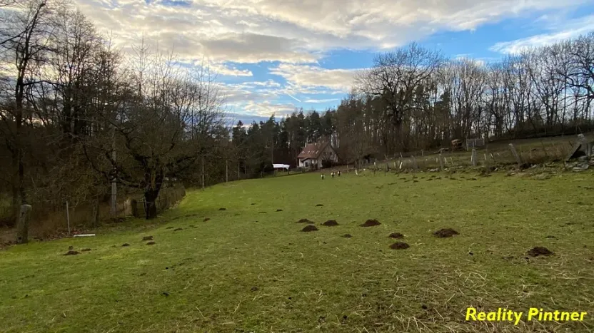 Prodej zemědělské usedlosti, Mirovice, 90 m2