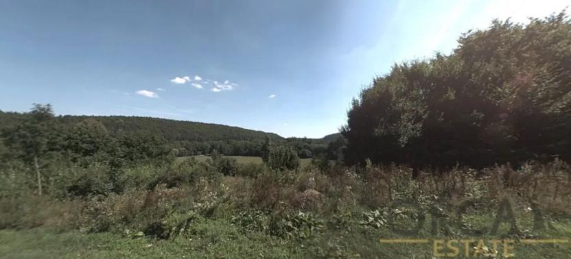 Prodej louky, Luže, 6578 m2