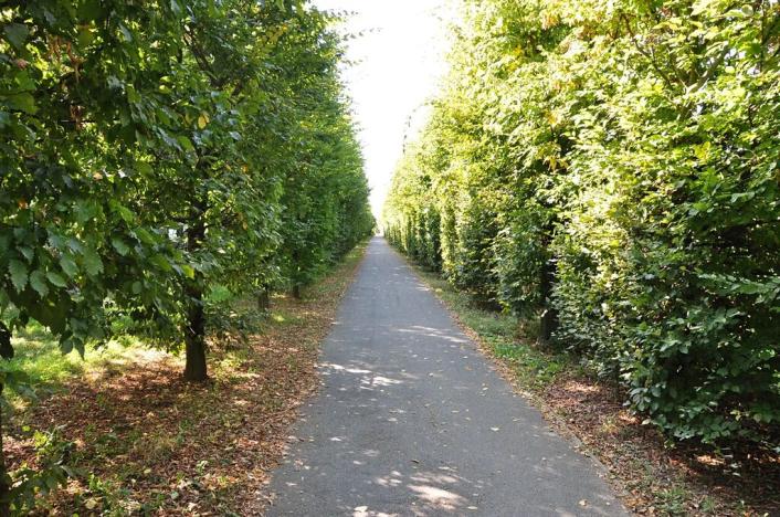 Prodej rodinného domu, Zeleneč, Konvalinková, 143 m2