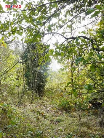 Prodej pozemku pro bydlení, Mariánské Lázně, Dobrovského, 1311 m2