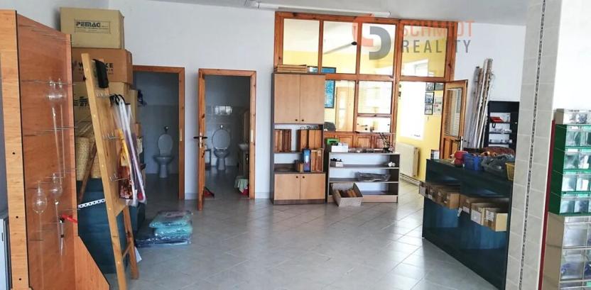 Prodej obchodního prostoru, Březí, Mikulovská, 259 m2