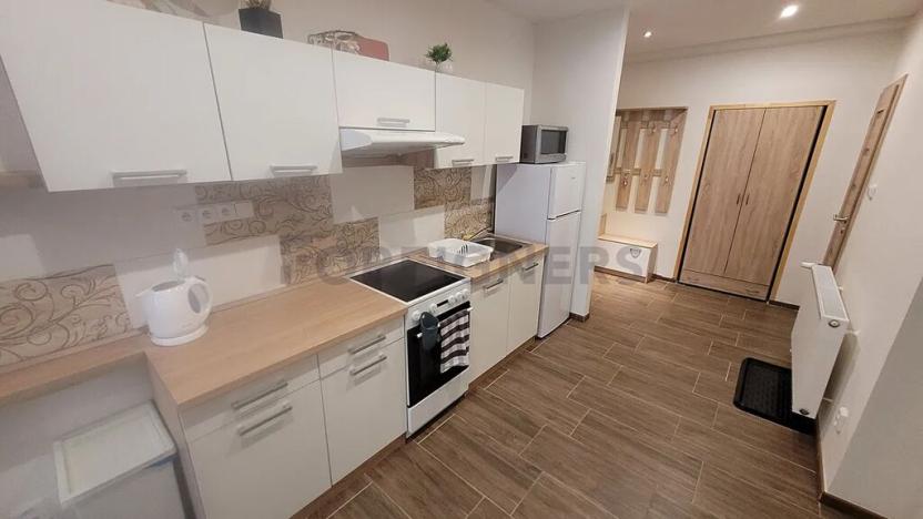 Pronájem bytu 1+1, Brno, Kotlářská, 41 m2