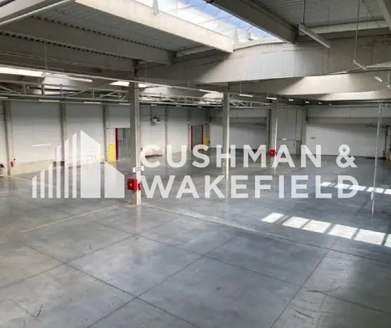 Prodej skladu, Milovice, Topolová, 7445 m2