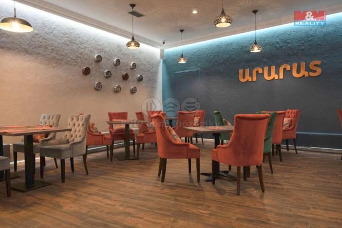 Pronájem ubytování, Praha - Střešovice, Nad hradním vodojemem, 426 m2