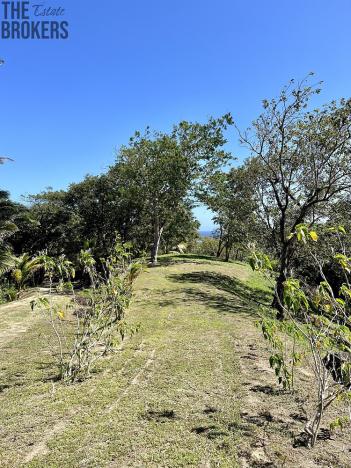 Prodej pozemku, Coxen Hole, Roatán, Honduras, 1884 m2