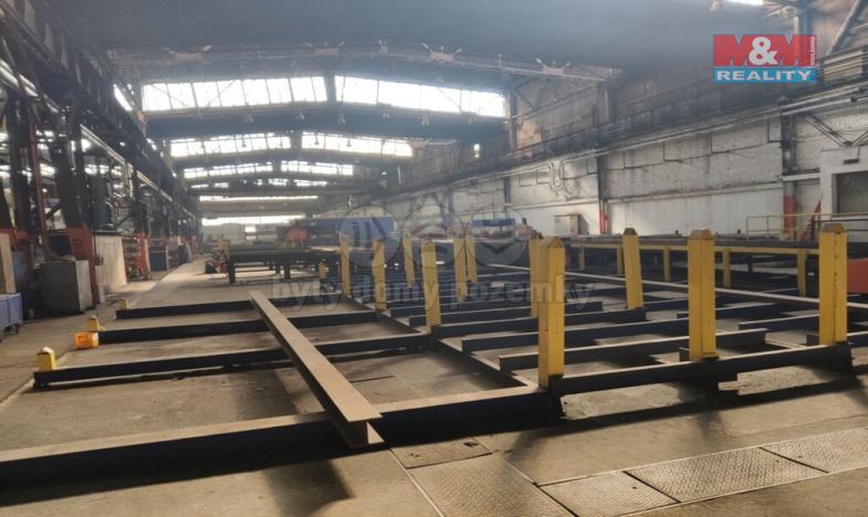 Pronájem výrobních prostor, Ostrava - Vítkovice, Zalužanského, 8500 m2