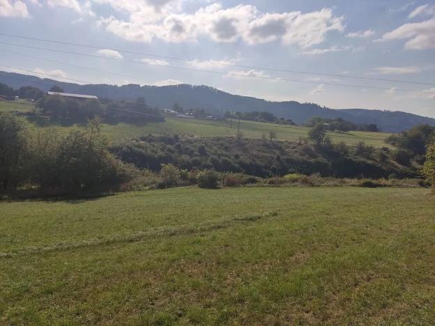 Prodej louky, Potštejn, 52202 m2