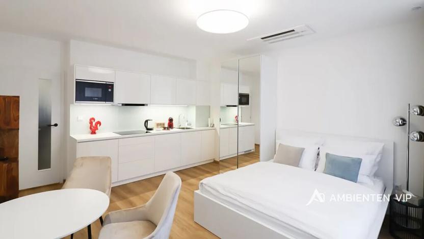 Pronájem bytu 1+kk, Brno, Jánská, 28 m2