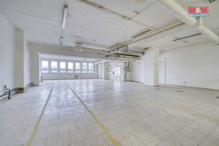 Pronájem obchodního prostoru, Plzeň - Doudlevce, Skupova, 100 m2