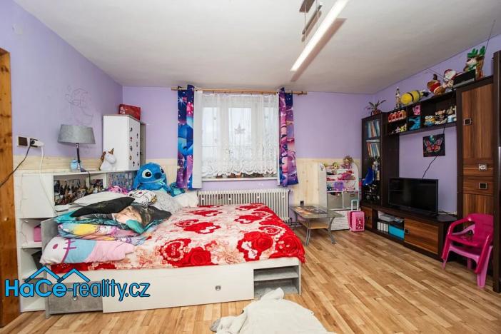 Prodej rodinného domu, Nový Ples, 320 m2