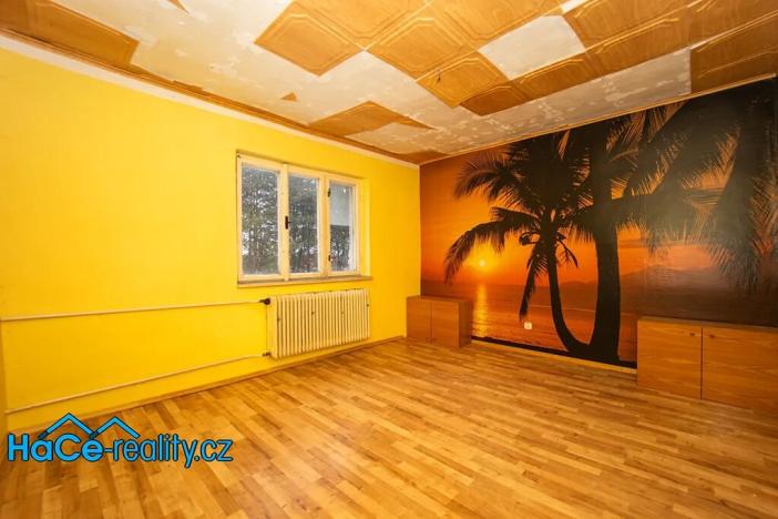 Prodej rodinného domu, Nový Ples, 320 m2