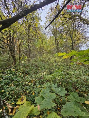Prodej louky, Hynčina, 1687 m2