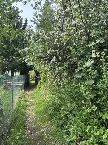 Prodej chaty, Kralupy nad Vltavou, 16 m2