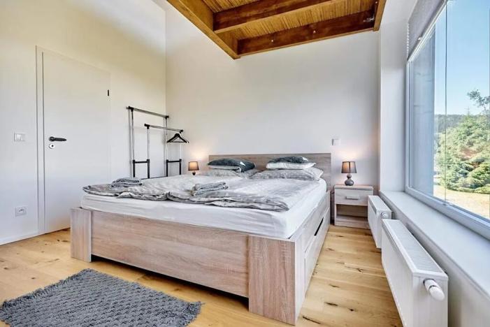 Prodej rodinného domu, Loučná pod Klínovcem, 84 m2