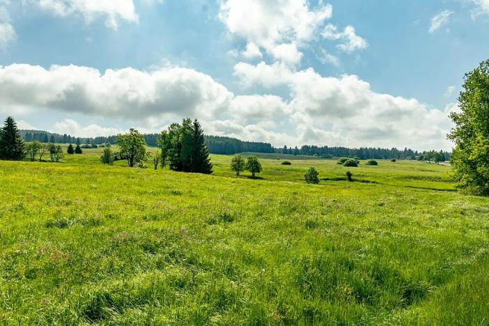 Prodej pozemku pro bydlení, Horní Blatná, Perninská, 1347 m2