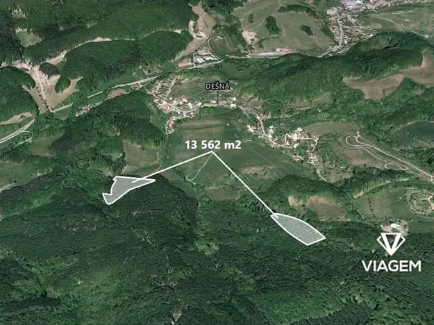 Prodej podílu lesa, Dešná, 1279 m2