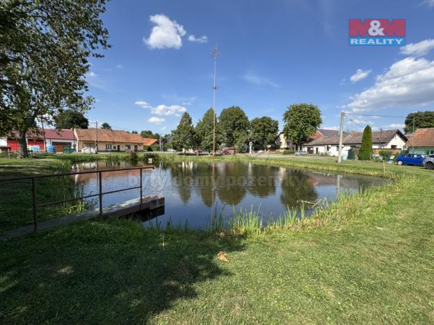 Prodej chalupy, Trhový Štěpánov - Dalkovice, 70 m2