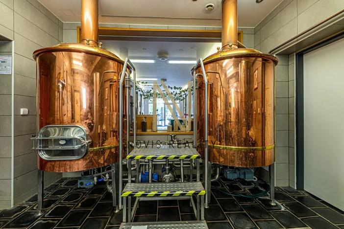 Prodej ubytování, Letiny, 646 m2