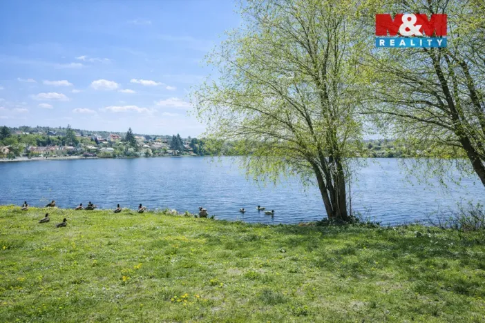 Prodej rybníku, Svojšice, 70738 m2