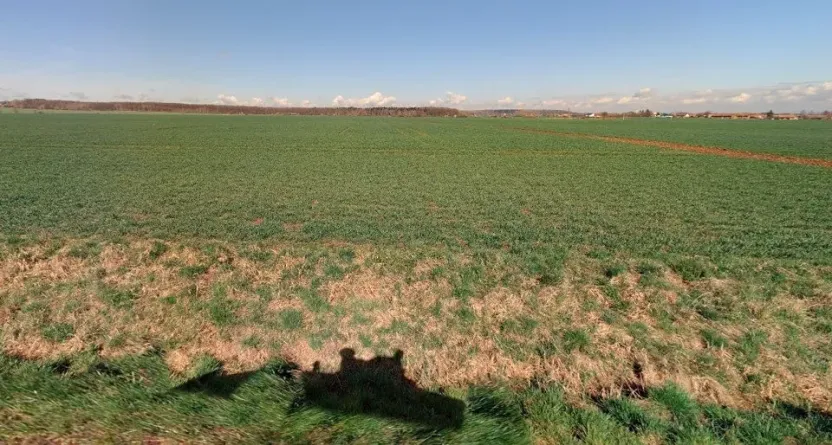 Prodej pole, Lužec nad Cidlinou, 25308 m2