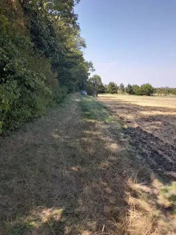 Prodej pozemku, Kolaje, 4429 m2