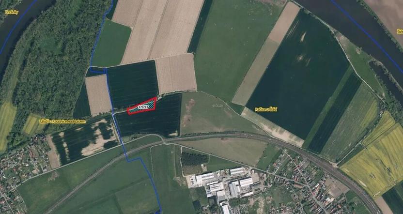 Prodej pozemku, Račice, 8045 m2