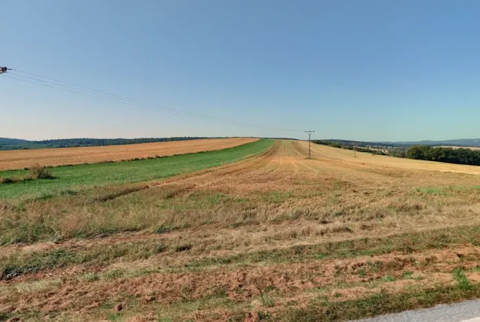 Prodej pole, Plasy, 15688 m2