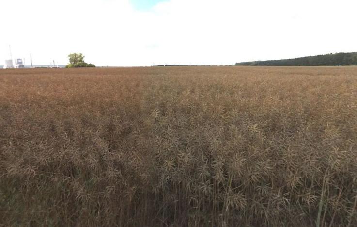 Prodej pole, Liběchov, 18625 m2