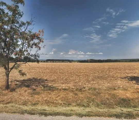 Prodej pole, Žlunice, 8419 m2