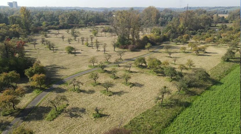 Prodej pozemku, Karviná, 224181 m2