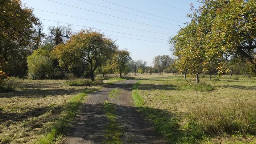 Prodej pozemku, Karviná, 224181 m2