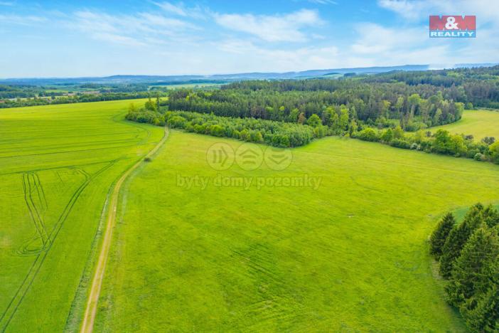 Prodej louky, Lešetice, 10193 m2