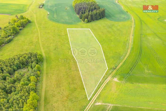 Prodej louky, Lešetice, 10193 m2