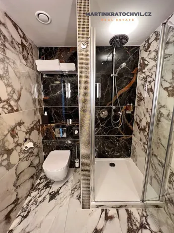 Pronájem bytu 1+kk, Praha - Staré Město, Bílkova, 29 m2