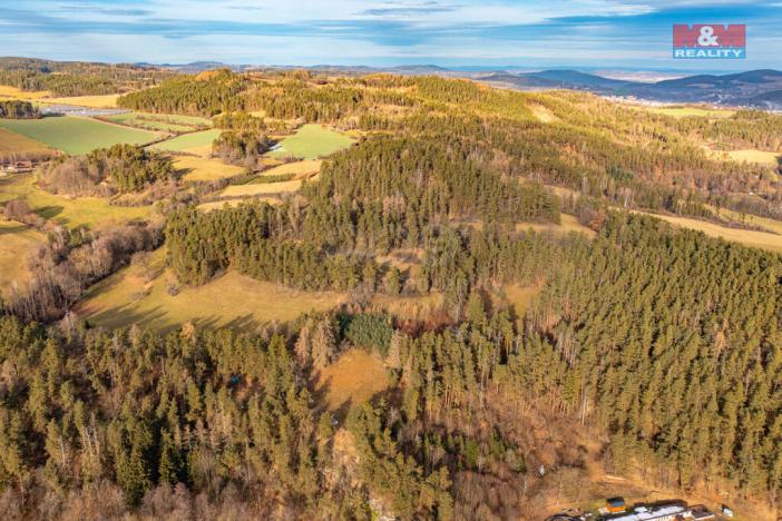 Prodej lesa, Malenice, 51224 m2