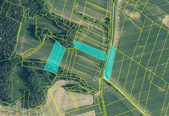 Prodej pole, Mohelnice, 32019 m2