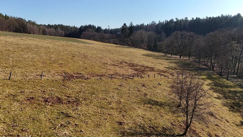 Prodej louky, Úhlejov, 46786 m2