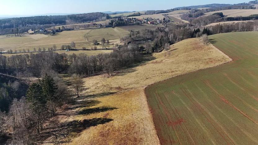 Prodej pole, Úhlejov, 46786 m2