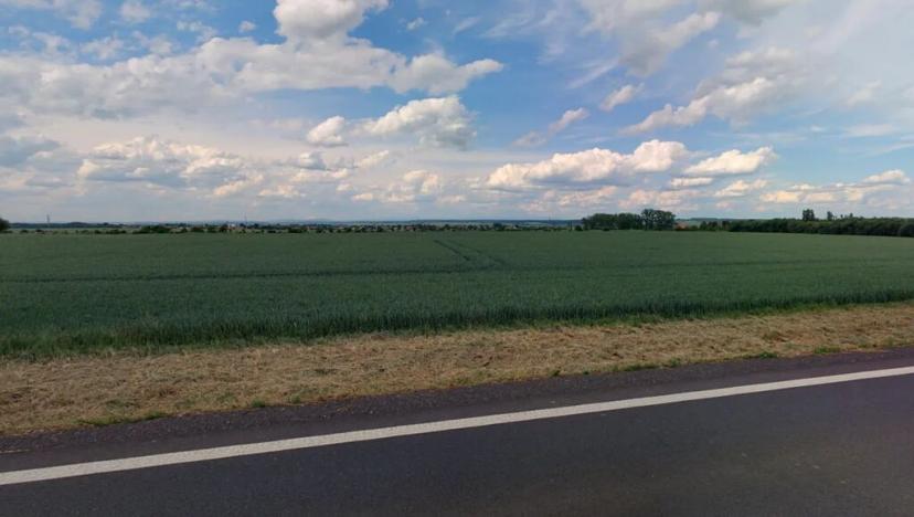 Prodej podílu pole, Běrunice, 20083 m2