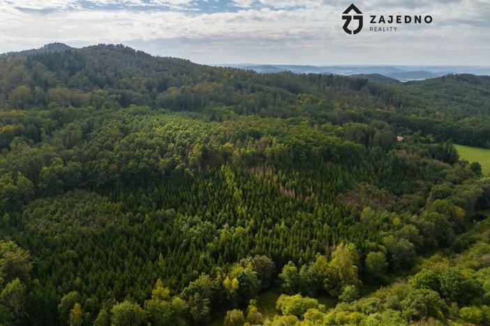 Prodej restaurace, Svinošice, 95 m2