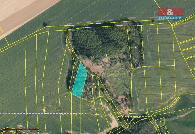 Prodej lesa, Načeradec - Pravětice, 19561 m2