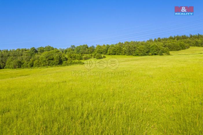 Prodej louky, Dlouhý Most, 7096 m2