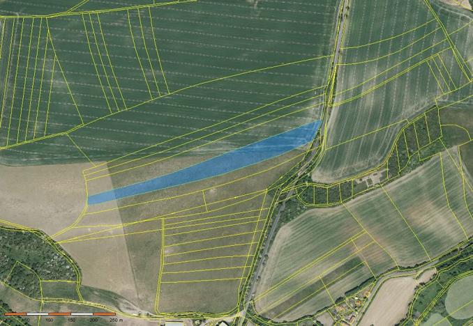 Prodej pole, Zbrašín, 38147 m2