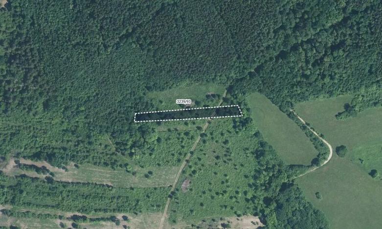 Prodej pole, Javorník, 14070 m2