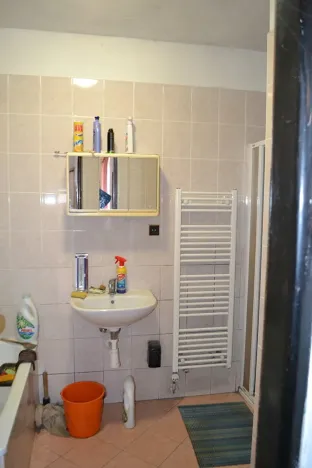 Prodej rodinného domu, Velká Losenice, 1090 m2