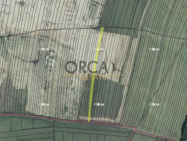 Prodej pozemku, Žabčice, 10011 m2